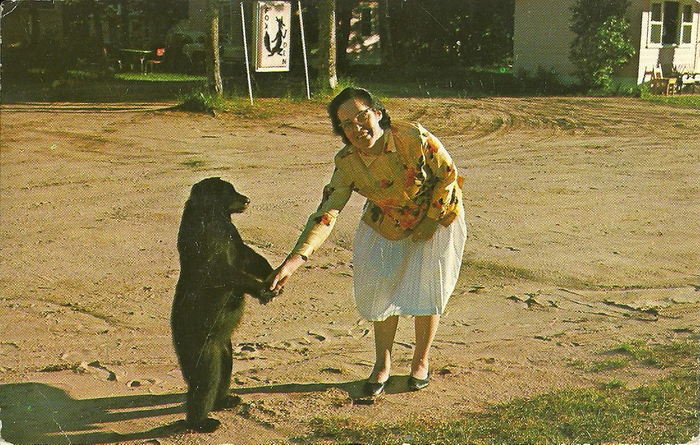 Fox Den Restaurant & Motel - Vintage Postcard